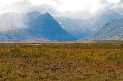 Sahtu Mackenzie Mountains